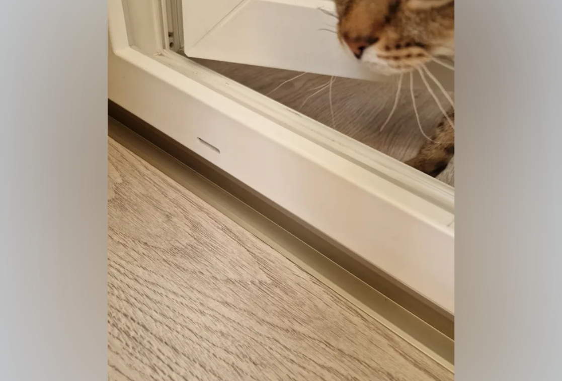 УВО 18-27.2700.R135 20*20 Дуб лионский