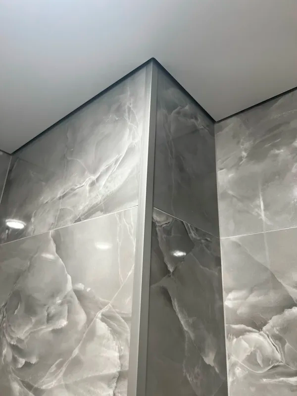 Профиль угловой MSPU 10NS.2700.001