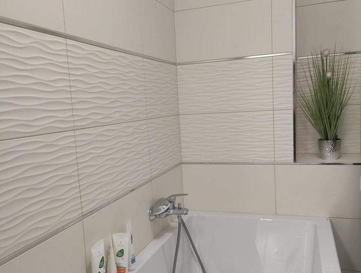 Полоса алюминиевая 10х1,5 мм браш серебро/глянец 2,7 м